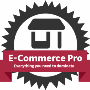 E-commerce Pro special
