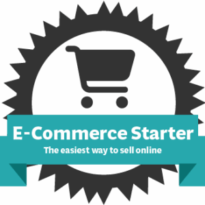 E-commerce starter special