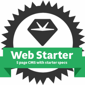 Web Starter Special